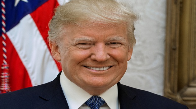 American President Donald J Trump Official Portrait