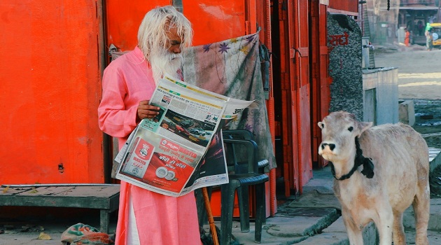 Indian Sadhu priest with cow