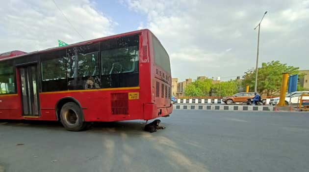 IMD warns that the heatwave will continue till the end of April, declares Yellow Alert in Delhi.