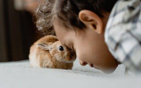 World Animal Welfare Day